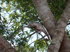 Madagaskar Projekt 2006 (545)