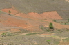 Madagaskar Projekt 2004 (023)