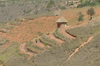 Madagaskar Projekt 2004 (025)