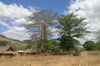 Madagaskar Projekt 2004 (067)