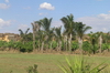 Madagaskar Projekt 2004 (088)