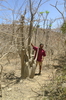 Madagaskar Projekt 2004 (139)