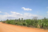 Madagaskar Projekt 2004 (195)