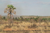 Madagaskar Projekt 2004 (199)