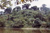 Congo 1996 (096)